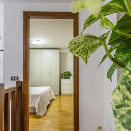 Ottonelli Street Stay- Wifi Fibra Free Tra Storchi&centro Storico Modena