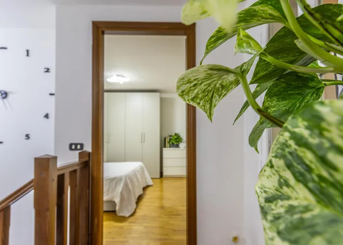 Ottonelli Street Stay- Wifi Fibra Free Tra Storchi & Centro Storico 摩德纳